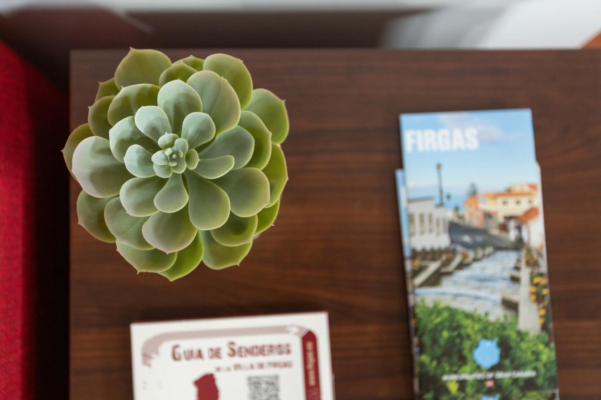 Apartmán Casa Alejandro Firgas Exteriér fotografie